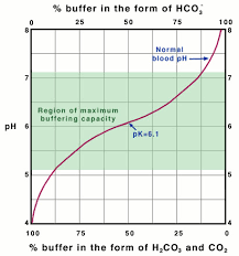 Ph Buffers In The Blood