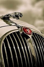 Follow Rent A Stylist Http Www Pinterest Com Rentastylist Jaguar Car Classic Cars Car Symbols