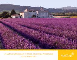 We did not find results for: Agricorp Cultivarea Plantelor Medicinale Procesarea Acestora È™i Producerea De Ceaiuri Cosmetice È™i Produse Farmaceutice A Devenit In Ultimii Ani O Afacere BÄƒnoasÄƒ O DovedeÈ™te MulÈ›imea De Magazine Naturiste Care Au ApÄƒrut