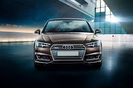 Image result for Argus Brown 2019 A4