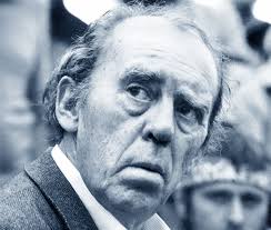 Immagine in miniatura