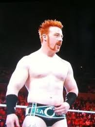 Wrestlers with most pwi 500 entries wrestlers with highest average pwi 500 position wrestlers with highest. Ginger Wwe Wrestlers