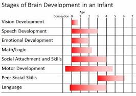 My 11 Week Old Gets Bored Everything S Moving So Fast Child Development Stages Physical Development In Children Brain Development