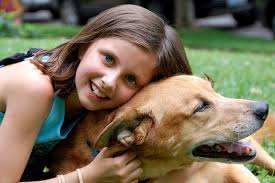 We are a family run pet transport service, with locations both in the uk and spain, offering regular scheduled services to france, spain, portugal, germany, italy, denmark and sweden monthly as well as offering bespoke individual journeys tailored to meet with your requirements. Pet Travel Pet Relocation Pet Transport