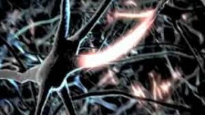For information on smartspeed and other innovative. Espn S Sports Science Penalty Kick Youtube