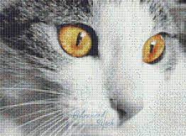 Cross stitch tutorials, hand embroidery stitches, free cross stitch patterns and more! Eyes Of Cat Cross Stitch Pattern Advanced Cross Stitch