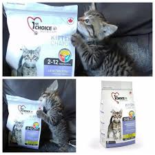 Wah Si Kecil Teman Berbulu Kita Ini Sudah Ga Sabar Untuk Makan 1stchoiceid Growth For Kitten Jangan Lupa Untuk Memberikan Selalu Yang Terbaik Untu Resim