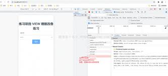 前端vue，拦截了登录后台后，返回的token，requests拦截token ...