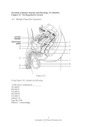 Essentials Of Human Anatomy And Physiology 11e
