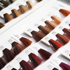28 Albums Of Garnier Hair Color Chart With Numbers