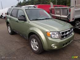 Image result for Kiwi Green 2008 Escape