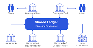 And any person tied to any central bank on the. What Do Consensys Recent Cbdc Pilots Reveal About How Central Banks Are Approaching Digital Currencies On Ethereum Consensys