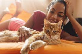 Take Animalkind Wherever You Go Get It On Audiobook Now Peta Orange Tabby Cats Orange Tabby Tabby Cat