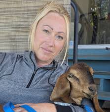 Rentals in Bisbee for family member?