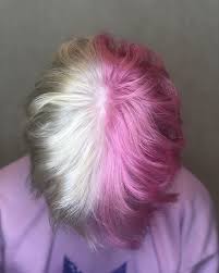 Split Dyed Hair Black And Blonde Male Pin On Hair
