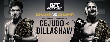 Ufc Cejudo Vs Dillashaw Barclays Center