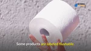 Check spelling or type a new query. Bad Toilet Paper Choices For Your Plumbing
