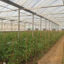 Connect online with our designers. China Hot Sale Plastic Pe Po Eva Pep Film Poly Tunnel Greenhouse For Agriculture China Pe Film Greenhouse Material