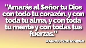 amr deo 1
