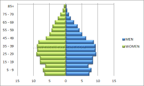 Population Pyramid Excel Exercise