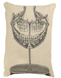 We did not find results for: Model Teeth Pillow Books Health And History