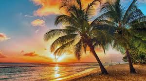 Tropical Summer And Upbeat Background Music For Videos Royalty Free Music By Ashamaluevmusic Youtube