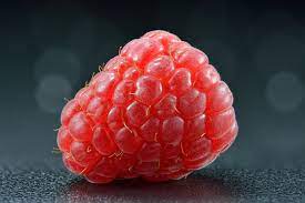 We did not find results for: Rubus Idaeus Wikipedia