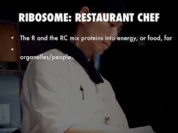 Cell analogy project examples major magdalene project org. Cell Analogy By Jenna Talarico