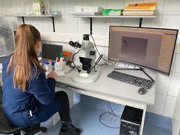 Programator, operator call center etc. Menumenu Universitatea Misiune Istorie Mesajul Rectorului LegislaÈie Organizare Organigrama Senat Membrii Senatului Comisii Senat HotÄrari De Senat Regulamentele Senatului Consiliul De AdministraÅ£ie HotÄrari Ale Consiliului De AdministraÅ£ie