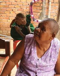 Can you Guess This Classic Car? Grandma Setting