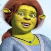 As shrek begins to fight donkey hops up onto one of the larger. Https Encrypted Tbn0 Gstatic Com Images Q Tbn And9gcsgm2gsrj Wgrllql Dyu1wbx7ozp072jzcoiphf5ectnwvpv1c Usqp Cau