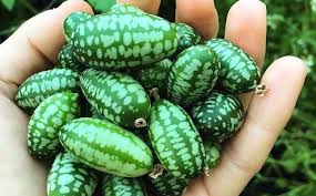Includes a video at the end. 27 Unusual Weird Exotic Fruit And Vegetables You Can Buy