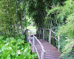 Willkommen im café botanischer garten! Botanischer Garten Tubingen Darwin In Schwaben Nachrichten Schwarzwalder Bote
