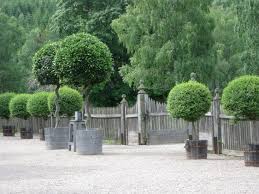 Garden Visit Tage Andersen Renaissance Man At Gunillaberg Gardenista Garden Visits Boxwood Garden Beautiful Gardens