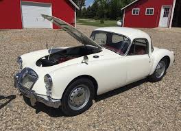 Image result for Old English White 1961 MG