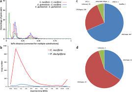 They're also competing for their coach's attention (aka cock) but their huge footballs will help them come to an agreement. Coconut Genome Assembly Enables Evolutionary Analysis Of Palms And Highlights Signaling Pathways Involved In Salt Tolerance Communications Biology