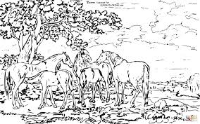 They can then build on these skills to become better typists and more adept in sports and other activities. Coloring Pages Landscape Coloring Home
