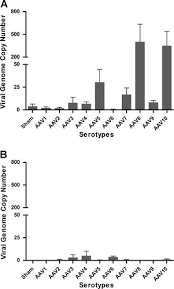 Image result for White 1999 AAV