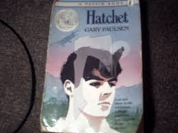 Hatchet Chapter 9 Chapter 16 Hatchet Chapter 13