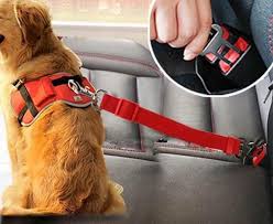 Dog Safety Belt Perfect For Long Car Rides Dog Car Seat Belt Dog Car Safety Dog Seat Belt
