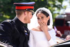 See more of harry & meghan on facebook. Meghan Drops The F Bomb Harry Needs A Drink And Will S Trousers Are Too Tight Lip Reader Reveals The Hilarious Secret Exchanges From The Royal Wedding