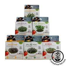 Microgreens Kits Supplies True Leaf Market Microgreens Growing Microgreens Organic Seeds