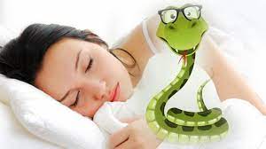 Ini berupa pesan atau peringatan tentang sesuatu yang harus kamu ketahui. Ini Arti Mimpi Tentang Ular Dan Penafsirannya Primaberita