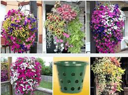 Blumenampel Garten Hangepflanzen Gartencontainer