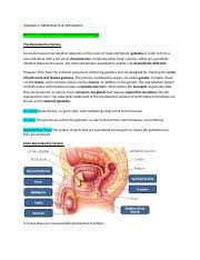 Ws34 3aa Name Class Date 34 3 The Reproductive System Lesson Objectives Describe The Effects The Sex Hormones Have On Development Name And Discuss The Course Hero