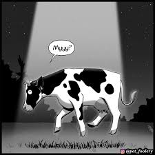 Cow rule34  смешные картинки и другие приколы: комиксы, гиф анимация,  видео, лучший интеллектуальный юмор.