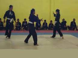 We did not find results for: Jurus Psht Jurus Kunci Rahasia Hadapi Lawan