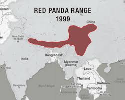 Red Panda Population Data Visualization Becky Scheel