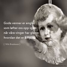 Dette handler litt om tysklandsbrigaden, litt om veteranforeningen og mye om godt kameratskap. Venn Siterte Sitater