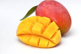 Image result for Mangifera